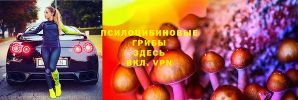 PSILOCYBIN Белоозёрский